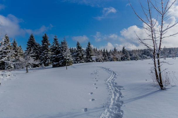 Première petite randonnée hivernale le long du Rennsteig à travers la forêt de Thuringe - Schneekopf / Allemagne
 - Photo, image