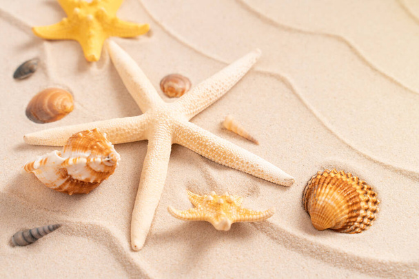 Minimális egzotikus fogalom. A homokhullámok kreatív elrendezése. Nyári strand háttér kagyló, tengeri csillag, nyaralás és utazás koncepció, Flat feküdt felső nézet másolás tér - Fotó, kép
