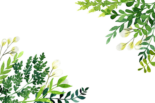 Corner botanical background, greenery with leaves and branches - Διάνυσμα, εικόνα