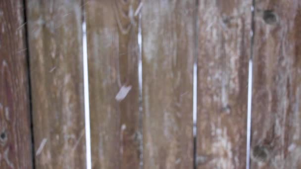 Rack Focus Snow to Wooden Fence - Záběry, video