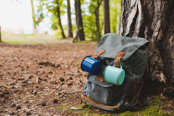 hiking backpack near tree in forest hiking concept - Foto, Imagen