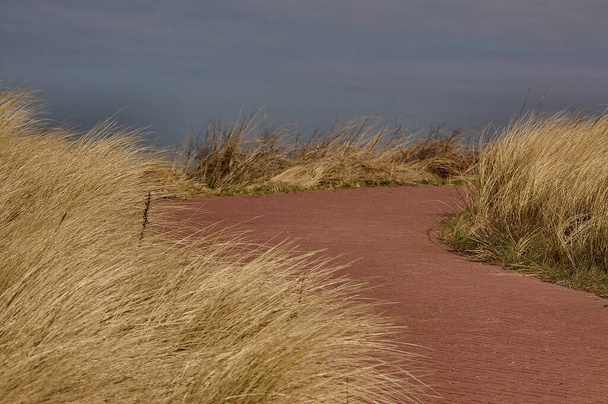 dune sand surface, desert - Zdjęcie, obraz