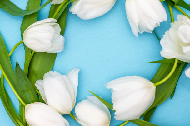 Ramo de tulipanes blancos sobre fondo azul. Hermoso ramo de siete tulipanes blancos, espacio para copiar. El concepto de día de la mujer, día de la madre, cumpleaños, día de San Valentín. Fondo de primavera con tulipanes
 - Foto, imagen