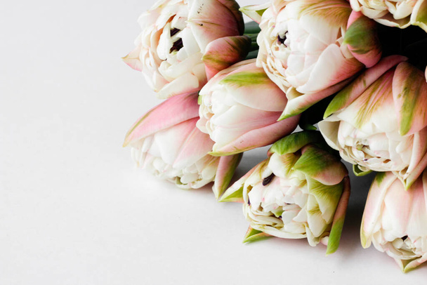 Ramo de primavera. un ramo de tulipanes. un ramo de tulipanes rosados y blancos. flores rosadas sobre un fondo blanco
. - Foto, imagen