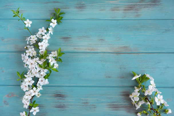 Ramitas de un cerezo en flor sobre un fondo de madera azul. Vista desde arriba. Fondo de primavera para la pancarta
. - Foto, imagen