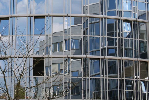 Window front of an office building - Zdjęcie, obraz