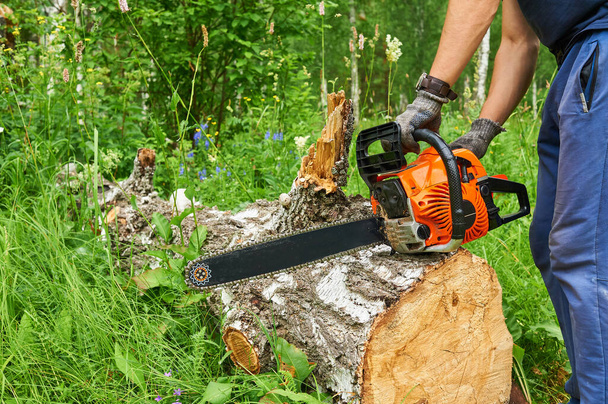 Sierra de cadena en acción cortando madera. Hombre cortando madera con sierra, polvo y movimientos
. - Foto, imagen
