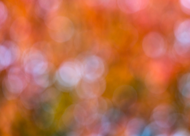 soyut renkli bokeh arkaplanı - Fotoğraf, Görsel