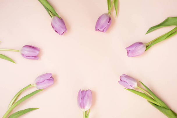 Purple tulips on the beige background - Foto, afbeelding