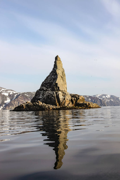 Rocky-sziget egy madárpiaccal az Északi-tengeren. A sirályok és Kaira fészkelőhelye egy sziklán Okhotsk tengerében. .  - Fotó, kép