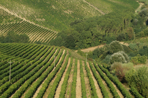 Tuscan countryside in central Italy - Фото, зображення