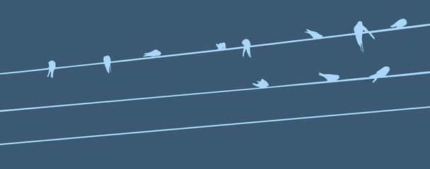 Swallows on Wires   - Vector Illustration - Vector, Image