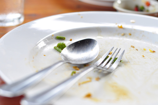 Empty dish - Photo, Image