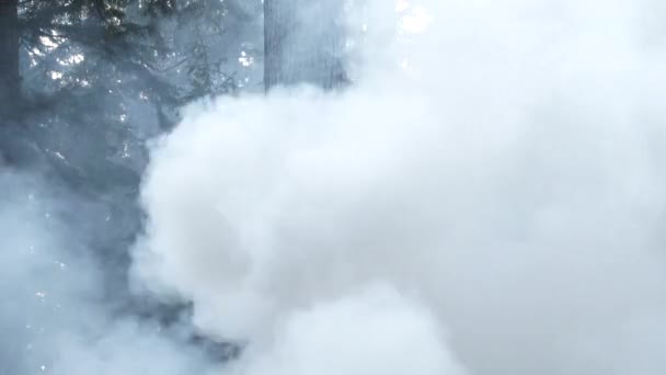Sűrű füst fúj át az erdőfákon a közeli tűzből.. - Felvétel, videó