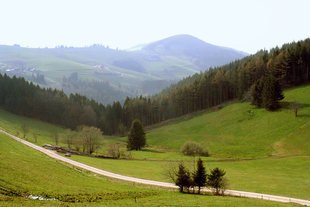 Spring in the Black Forest - Fotoğraf, Görsel