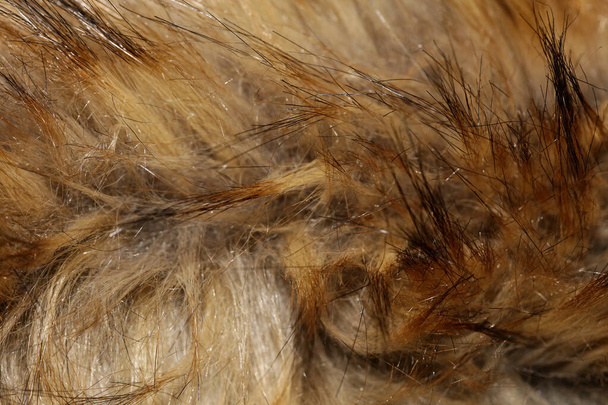 Искусственный коричневый пиджак волосы макрофоном фоновая фотография высокого качества
 - Фото, изображение