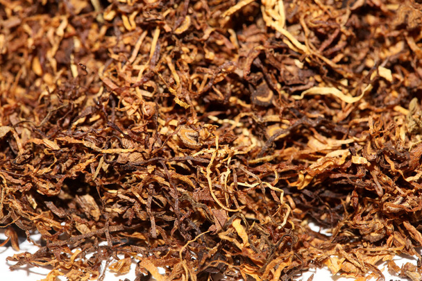 Rolling tabacco foglie macro sfondo stock fotografia di alta qualità
 - Foto, immagini