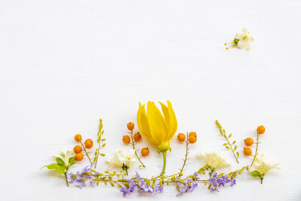 kolorowe kwiaty, ylang ylang, jaśmin, mały fioletowy kwiat miejscowa flora Azji aranżacja płaska leżała styl pocztówki na tle biały drewniany - Zdjęcie, obraz