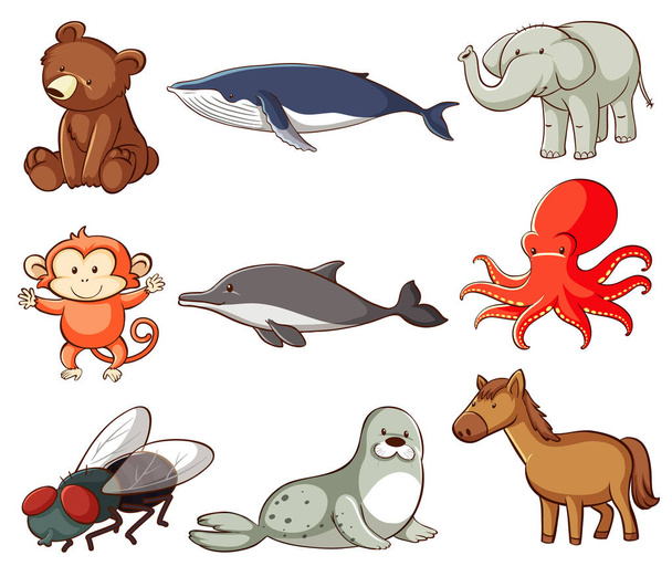 Gran conjunto de vida silvestre con muchos tipos de animales ilustración - Vector, imagen