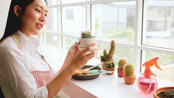 Young gardener woman holding a flowerpot of cactus in the room. - Фото, изображение