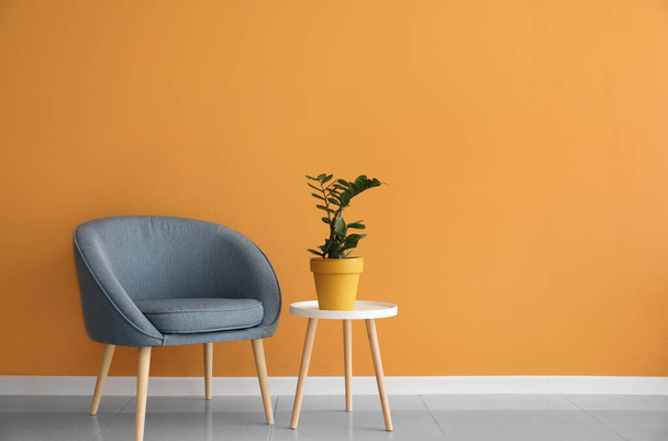 Comfortable armchair and table with houseplant near color wall - Photo, Image