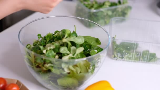 De kok giet gehakte spinazie van het snijplankje naar de glazen kom, maakt de groentesalade, kookt met groente, vitamine en gezond voedsel, vegetarische maaltijden. Slow Motion video. Sluiten. - Video