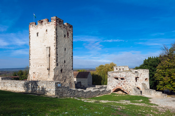 ruïne van de middeleeuwse leeftijd stenen kinizsi kasteel - Foto, afbeelding