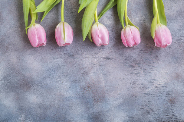 Spring flowers. Pink blooming tulips close up - Foto, Imagen