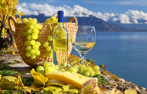 witte wijn en de mand van druiven. Lavaux-gebied, Zwitserland - Foto, afbeelding