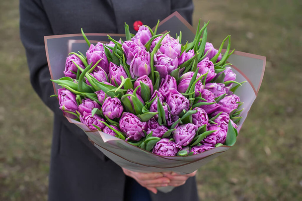 紫色の花の花束を手に持つ女性。バレンタインデーの贈り物、美しい紫色のチューリップ。3月8日. - 写真・画像