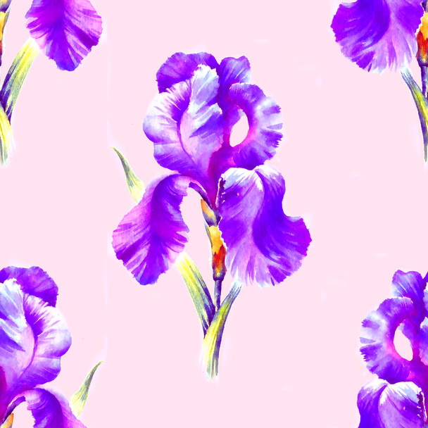 Watercolor hand painted iris flower, seamless pattern for textile, wallpaper, background. - Foto, Bild