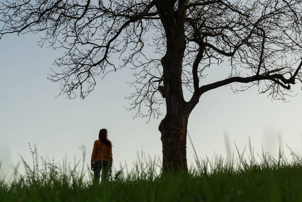 Akşamları büyük bir ağacın altında yalnız bir kadın. - Fotoğraf, Görsel