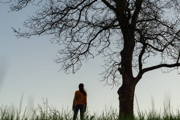 näkymä yksin nainen suuren puun alla illalla - Valokuva, kuva