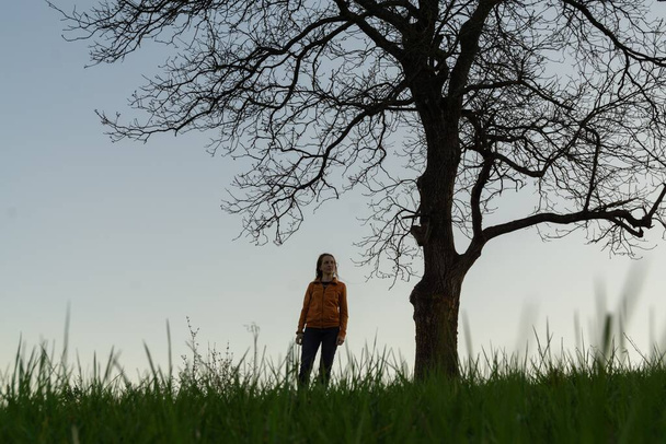 widok samotnej kobiety pod dużym drzewem wieczorem - Zdjęcie, obraz