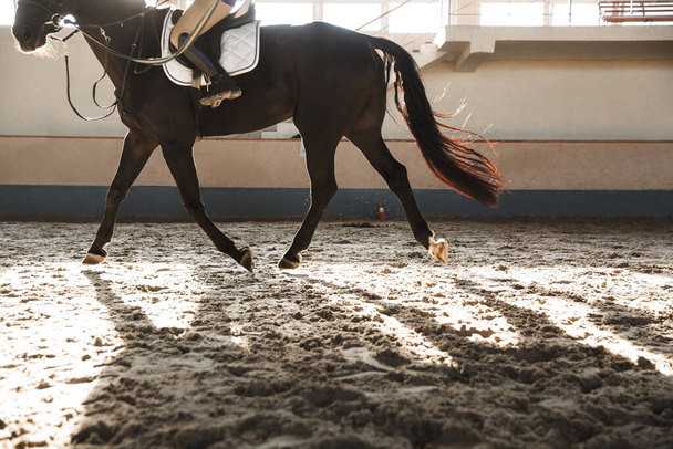 Foto recortada de la joven caucásica hermosa mujer a caballo en el campo en la zona de entrenamiento
. - Foto, Imagen