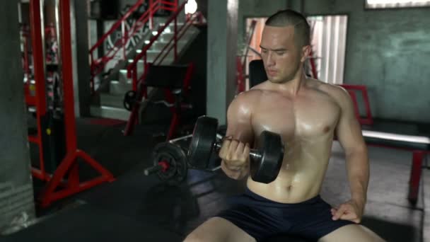asian man with big muscles weight training at the gym - Filmmaterial, Video