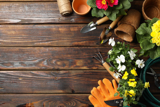 Λουλούδια και εργαλεία κηπουρικής σε ξύλινο φόντο, top view - Φωτογραφία, εικόνα