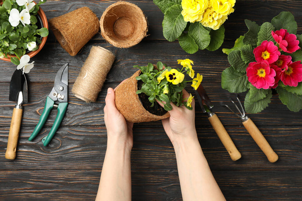 Frau hält Topf. Holzhintergrund mit Blumen und Gartengeräten, Draufsicht - Foto, Bild