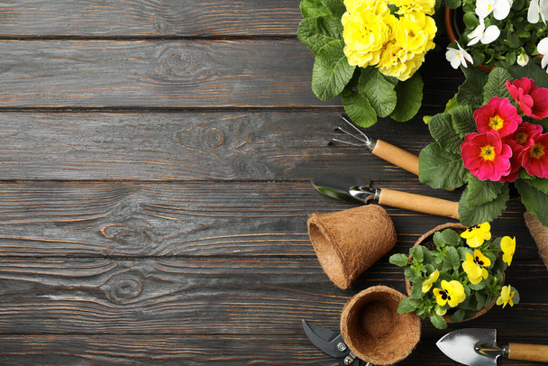 Flowers and gardening tools on wooden background, top view - Foto, immagini