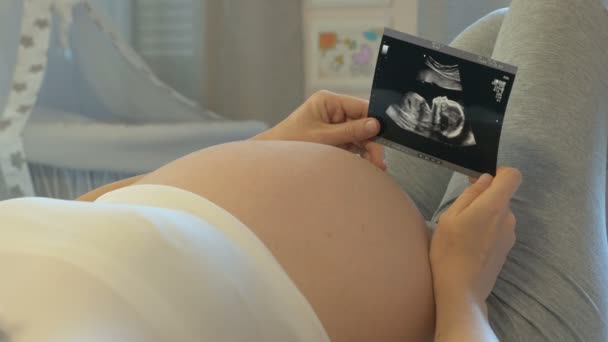 Ultrasound examination of the abdomen, nine months of pregnancy - Πλάνα, βίντεο