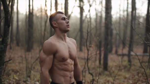 Homme athlétique avec torse nu se tient dans la forêt d'automne fait des exercices de respiration. feuilles d'automne tombent des arbres. Mouvement lent
. - Séquence, vidéo
