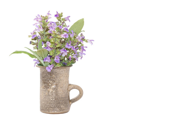 Salbeiblätter und -blüte (Salvia officinalis) in der Vase isoliert auf weißem Hintergrund. - Foto, Bild