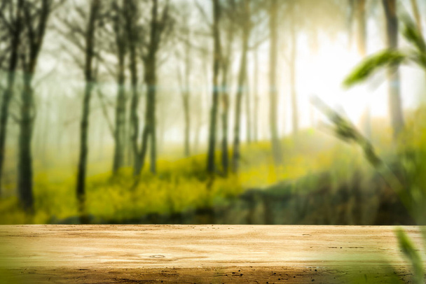 Houten tafelblad met ruimte voor uw decoratie en product. wazig groen zonnig voorjaar bos achtergrond.  - Foto, afbeelding