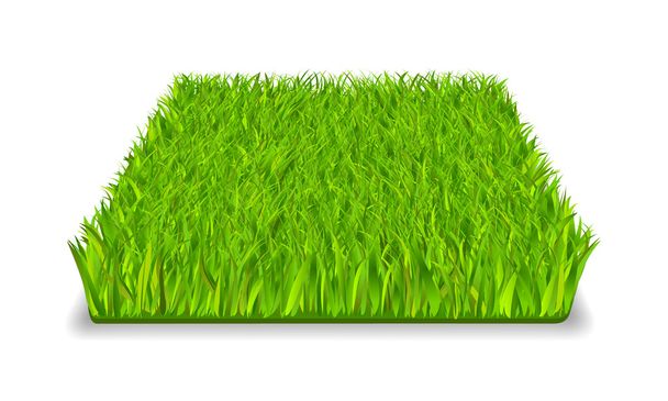 緑の草 - ベクター画像