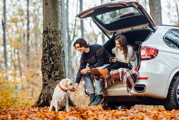 Young couple have a picnic with their dog near automobile in the autumn forest. - Φωτογραφία, εικόνα