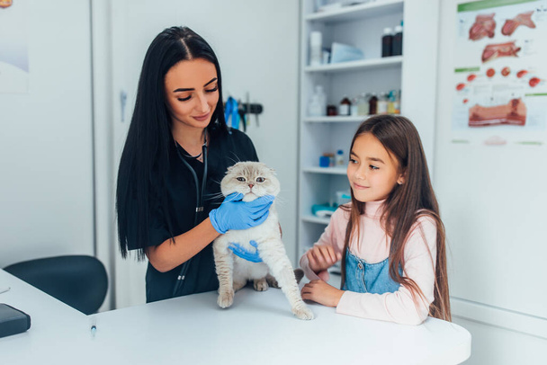 Veterinarian examining a cat in the bad with  owner's arms, pet care concept. - Фото, изображение