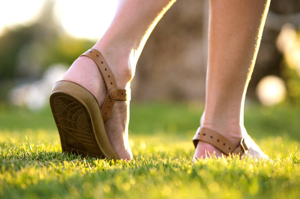 zbliżenie kobieta nogi w latem sandały buty chodzenie na wiosennym trawniku pokryte świeże zielone trawy. - Zdjęcie, obraz