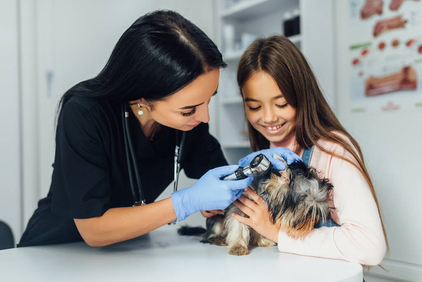 Beautiful doctor veterinarian and small girl at vet clinic are examining little dog Yorkshire Terrier. Lifestyle. Love between dogs. - Фото, изображение