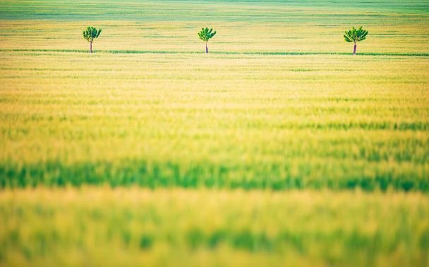 Jaune - champ de céréales vertes avec des arbres individuels et avant-plan flou
 - Photo, image