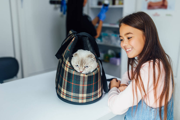Kislány kisállat tulajdonos hordozza macskáját egy speciális ketrec hordozó egy séta vagy egy állatorvosi klinikán. Látogasson el. - Fotó, kép